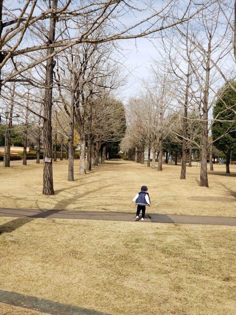 テクノ中央緑地公園イチョウ並木(GALAXY)