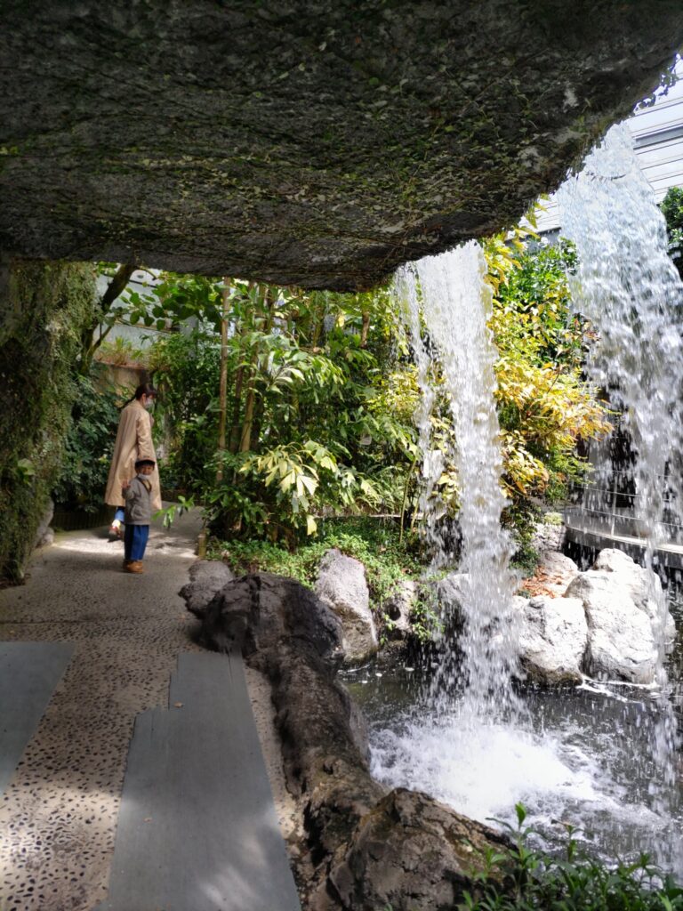 熊本市動植物園温室内の滝(GALAXY)